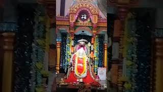 मां मनका देवी जांजगीर दिव्य दर्शनMaa Manka devi janjgir Divya darshanshorts short [upl. by Anallij764]