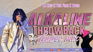 Alkaline Mix  Alkaline Throw Back Ladies Dancehall Mix 2023  100 Alkaline Female Songs [upl. by Alexander528]