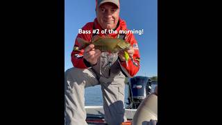 Kanawha River Smallmouth on a 3XD during our club tournament yesterday 9824 [upl. by Esenwahs]