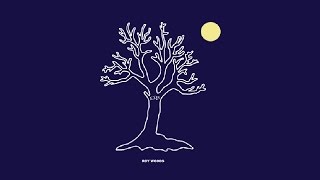 Roy Woods  Drama feat Drake Audio RoyWoods [upl. by Mcmaster]