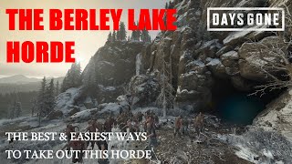 Days Gone  THE BERLEY LAKE HORDE The Best amp Easiest Ways To Take Out This Horde [upl. by Aehtna675]