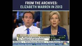 Elizabeth Warren on GlassSteagall in 2013 [upl. by Mika]