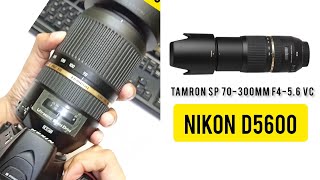 Nikon D5600 with Tamron SP 70300mm F456 VC lens Shorts [upl. by Sibylle]