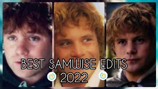 Best Samwise Gamgee edits2022 [upl. by Abixah]