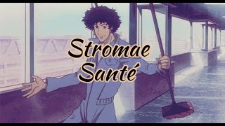 Stromae  Santé  Slowed amp Reverb [upl. by Gally]