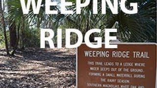 Weeping Ridge Falls at Torreya State Park Florida [upl. by Rafter]