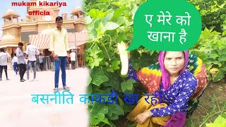 aj ka vlog मेरे को काकड़ी खाना हे kakdi khavani mukam kikariya officla [upl. by Oalsinatse]