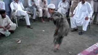 pashto mast dance 2009 [upl. by Oranneg]