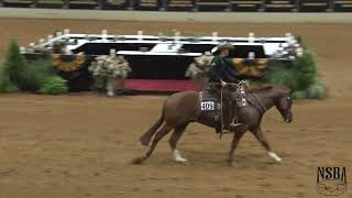 2022 NSBA World Show Senior Ranch Riding Bud Lyon on Whizenboonsmal [upl. by Marnia618]