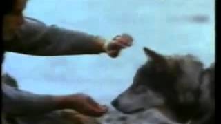 White Fang 1991  Filme Trailer [upl. by Kara]