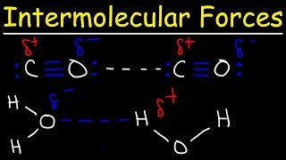 Intermolecular Forces  Hydrogen Bonding Dipole Dipole Interactions  Boiling Point amp Solubility [upl. by Nickles814]