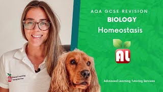 AQA GCSE Biology  Homeostasis Revision [upl. by Merci]