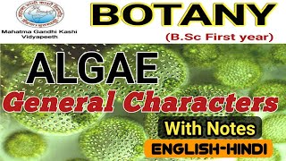 General Characteristics of AlgaeAlgae General FeaturesBSc 1st year [upl. by Kenwrick911]