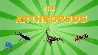 The Arthropods  Educational Video for Kids [upl. by Zetnwahs]