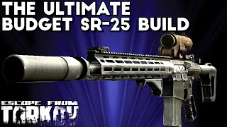 This Budget SR25 Build Is Amazing  Escape From Tarkov [upl. by Silin]