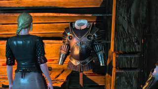 The Witcher 3 Wild Hunt  Part 71  Enhanced Legendary Feline Armor Location [upl. by Reginauld548]