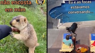 Compilado de DUBLAGENS de ANIMAIS ENGRAÇADOS  ANIMAIS FALANTES [upl. by Milas]