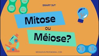 Mitose et Méiose [upl. by Ise]