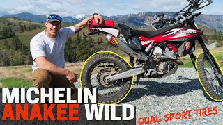 Michelin Anakee Wild Dual Sport Adventure Bike Tires First Impression [upl. by Ferretti805]