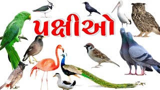 Birds Name And Sound  પક્ષીઓના નામ અને અવાજ  Bird Names in Gujarati English  pakshiyon na naam [upl. by Annitsirhc839]