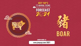 2021 Animal Signs Forecast Boar Joey Yap [upl. by Kerianne]