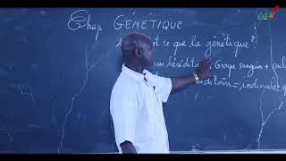 Cours  Terminale  SVT  Génétique  Introduction [upl. by Gabriellia]