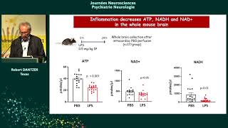 JNPN 2021  Inflammation stress et dépression  une question de déficience métabolique [upl. by Muslim]