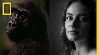 Chimps vs Humans Successful Societies  Nat Geo Live [upl. by Shelah939]