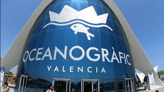 Valencia Oceanogràfic Tickets Price 2024 Belépő Mennyibe Kerül [upl. by Ainimre]