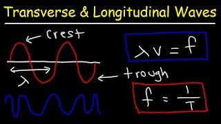 Transverse and Longitudinal Waves [upl. by Eidda]