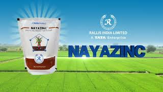 Unlock the Power of Nayazinc Transform Your Harvest with Rallis Indias Revolutionary Product 🌱✨ [upl. by Ahsiekram]