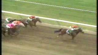 1993 Molly Pitcher Handicap  Wilderness Song [upl. by Nwahsem205]