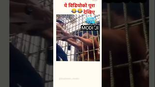 मोदी जी 🤣🤡Short Fanny monky fannycomedy mancomedy [upl. by Eimaj]