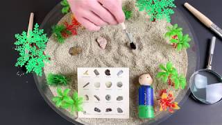 Ancient FOSSILS for KIDS 500 MILLION Years  Prehistoric Animals Species  Learn Geology Science [upl. by Ahsienroc]