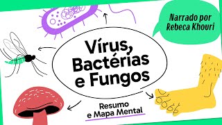 VÍRUS BACTÉRIAS E FUNGOS  BIOLOGIA  Mapa Mental  Quer Que Desenhe [upl. by Treharne]