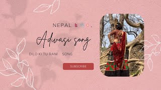 Dilo ki Tu Rani  aadivashi songs 🌸 adivasi  remix song  Vikram Chouhan blockbuster 🥀🌿 [upl. by Crispin804]