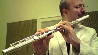 Bach  Suite for Violoncello Prélude played on Flute with Circular Breathing [upl. by Ecyt632]