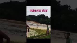 বন্যায় ভেসে গেসে ফেনী নোয়াখালী কুমিল্লা।বন্যার খবর Bonnar khobor [upl. by O'Kelly]