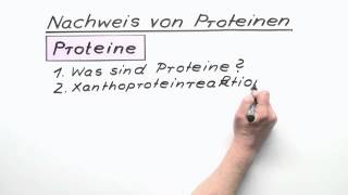 Nachweis von Proteinen  Chemie  Organische Chemie [upl. by Roberts]