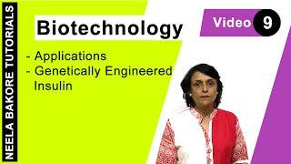 Biotechnology  NEET  Genetically Engineered Insulin  Neela Bakore Tutorials [upl. by Jacquelynn]