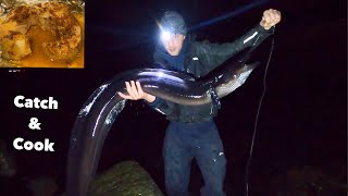 Hand Lining MASSIVE EELS at Night  catch amp cook conger eel [upl. by Massarelli]