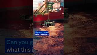 DeepSea Mining Watch now on DWDocumentary or copy the link in the description [upl. by Calderon731]