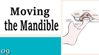 09 Moving the Mandible  Learning to Control Your Neck and Head [upl. by Romelle]