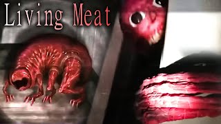 The Most DISTURBING Analog Horror Series  Vita Carnis Reaction [upl. by Silas]