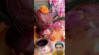 कार्तिक सम्पूर्ण चावल ओर जल का किया करे trending tulsi hindufestival viralvideos tulsikeupay [upl. by Letsirhc]