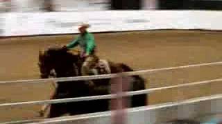 Calgary Stampede Working Cow Horse Competition 2007 [upl. by Anilrahc]