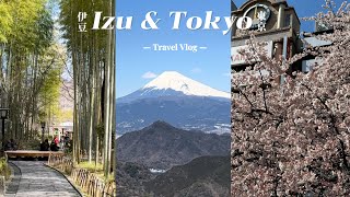 Eng sub 靜岡伊豆amp東京 Vlog🇯🇵｜逛outlet還可以看富士山，修善寺蕎麥麵三吃｜看櫻花 美食、景點 一次告訴你！🗻🍙🌸🍮 [upl. by Ayotyal]