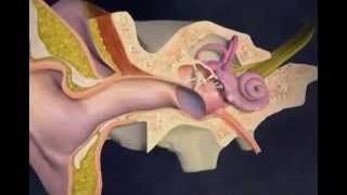 Ear Pressure How Does Ear Pressure Work Popping Your Ears Videomp4 [upl. by Ettegroeg]