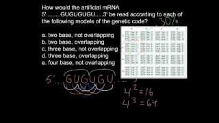 How message RNA is read duplets triplets or tetraplets [upl. by Htbazile]