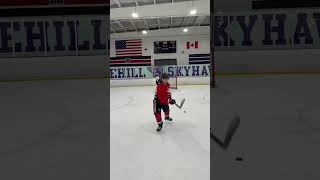 2 puck hockey athlete workout [upl. by Jacqui]